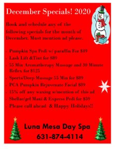 Luna Mesa December 2020
